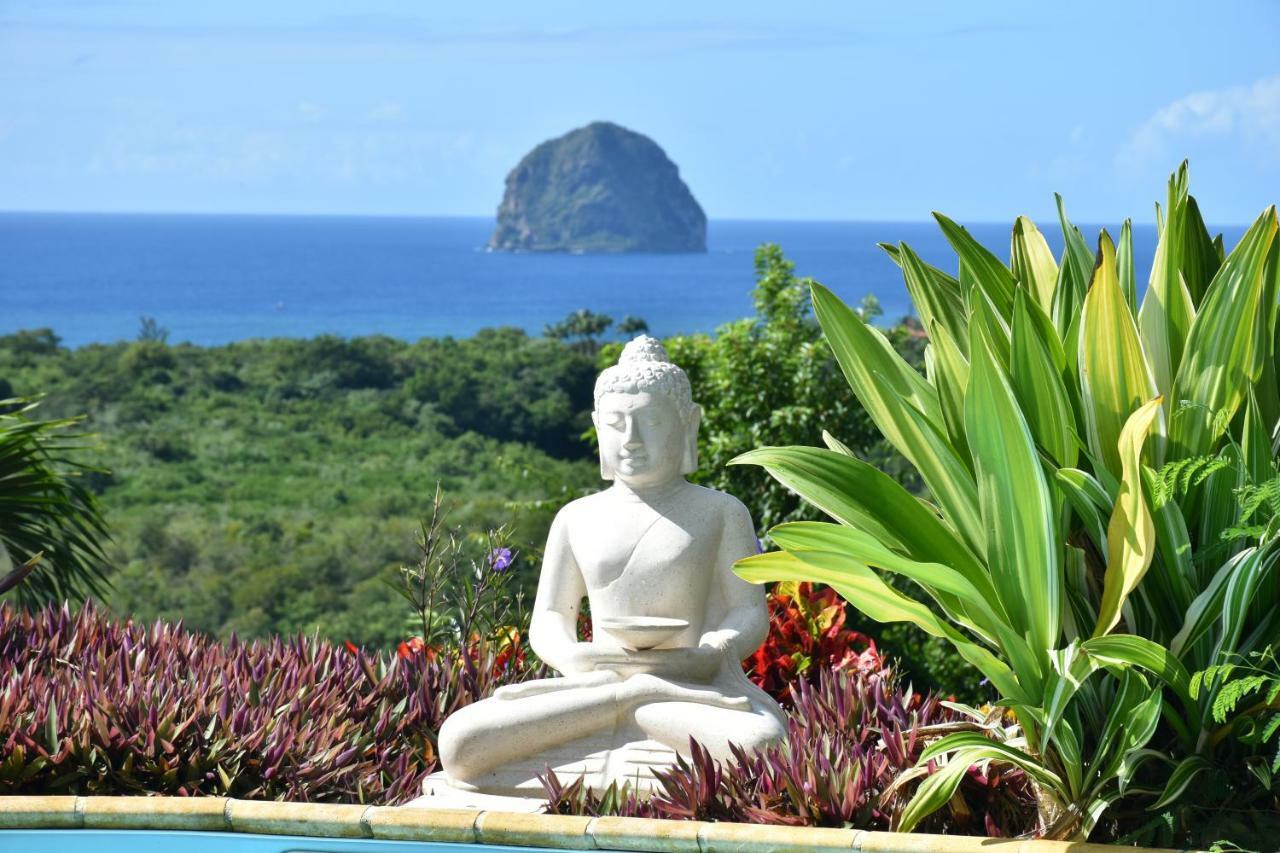 Ti Coin De Paradis Ylang Ylang ル・ディアマン エクステリア 写真